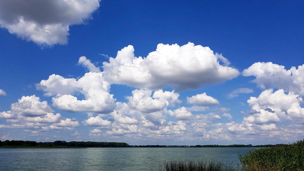 Ferienwohnung In Der Uckermark Am Oberuckersee Ot Warnitz Экстерьер фото